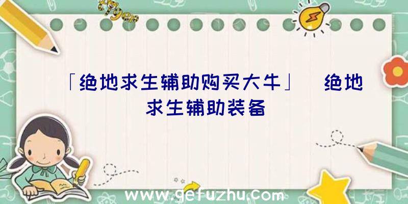 「绝地求生辅助购买大牛」|绝地求生辅助装备